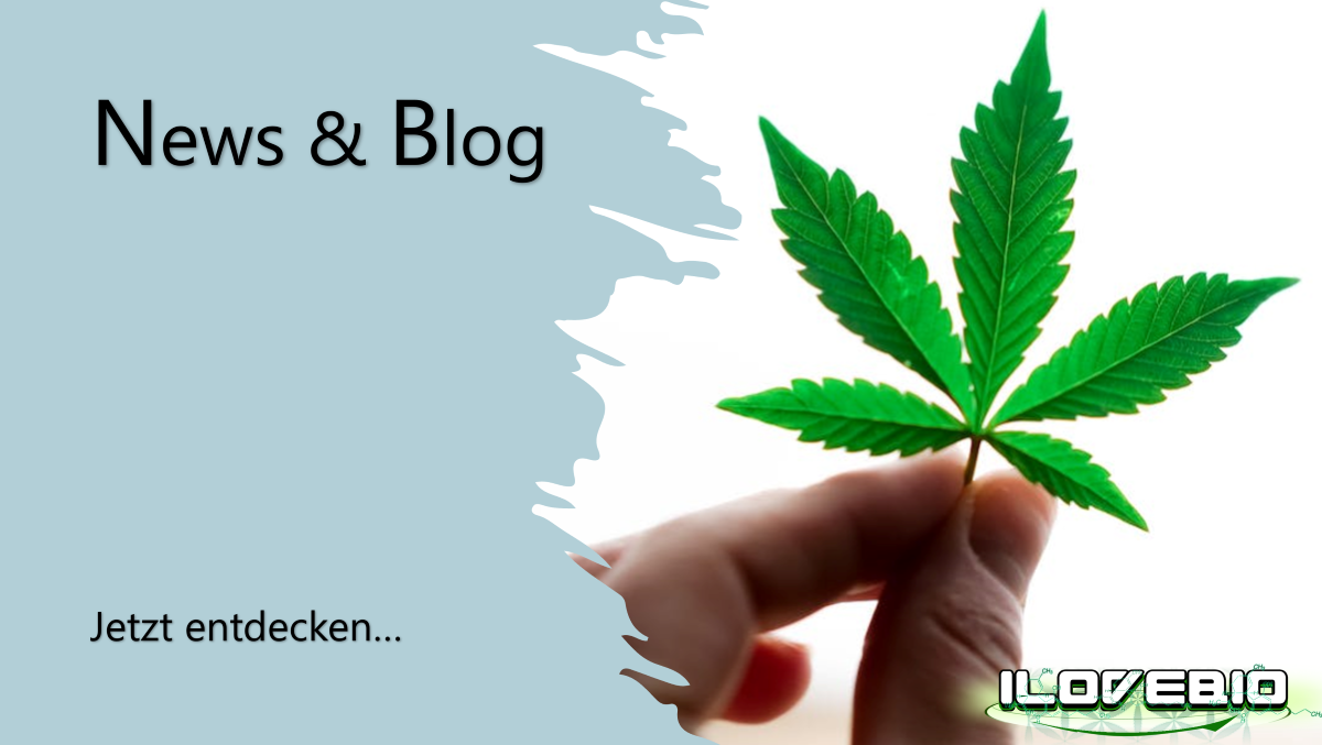 Blog CBD